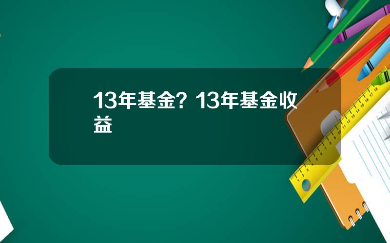 13年基金？13年基金收益