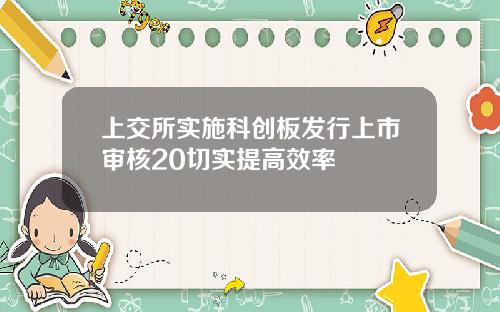 上交所实施科创板发行上市审核20切实提高效率