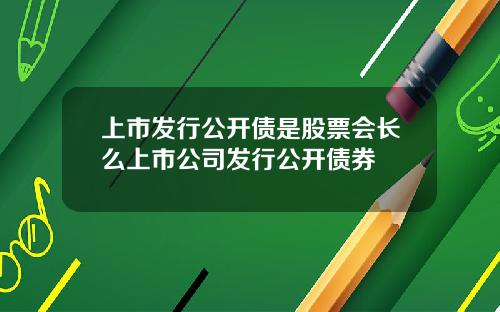 上市发行公开债是股票会长么上市公司发行公开债券