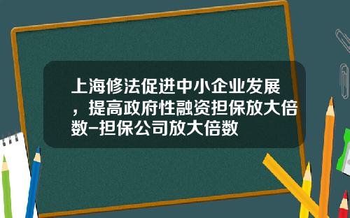 上海修法促进中小企业发展，提高政府性融资担保放大倍数-担保公司放大倍数