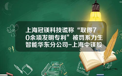 上海冠镁科技谎称“取得70余项发明专利”被罚系力生智能华东分公司-上海中镁股份有限公司