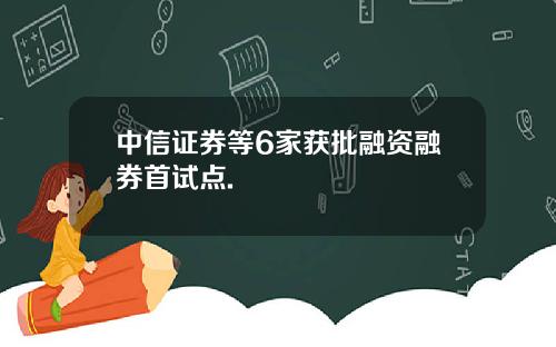 中信证券等6家获批融资融券首试点.