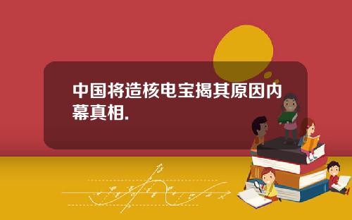 中国将造核电宝揭其原因内幕真相.