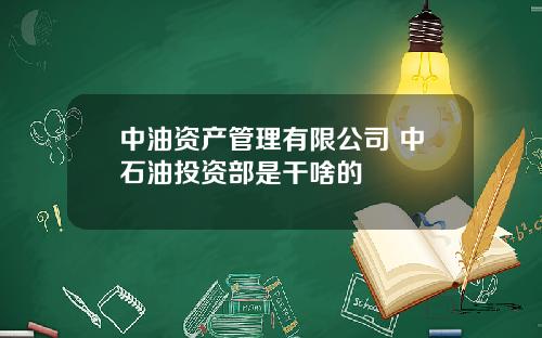 中油资产管理有限公司 中石油投资部是干啥的