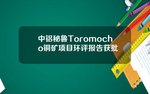 中铝秘鲁Toromocho铜矿项目环评报告获批