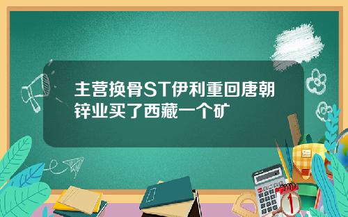 主营换骨ST伊利重回唐朝锌业买了西藏一个矿