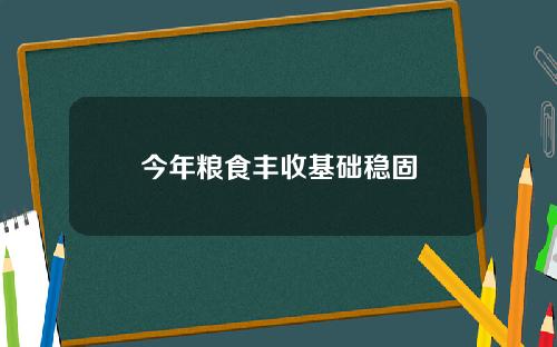 今年粮食丰收基础稳固