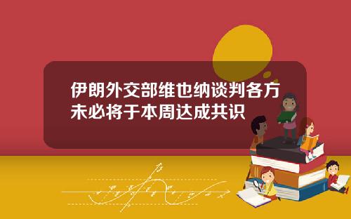 伊朗外交部维也纳谈判各方未必将于本周达成共识