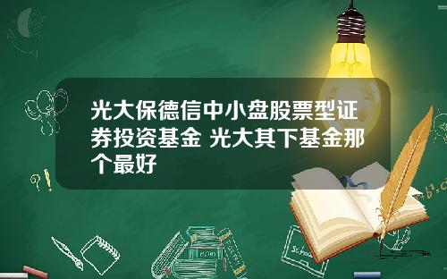 光大保德信中小盘股票型证券投资基金 光大其下基金那个最好