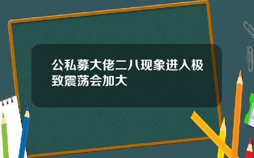 公私募大佬二八现象进入极致震荡会加大