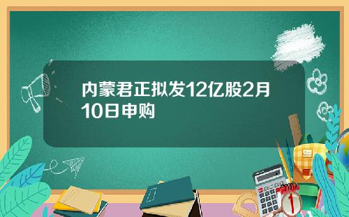 内蒙君正拟发12亿股2月10日申购