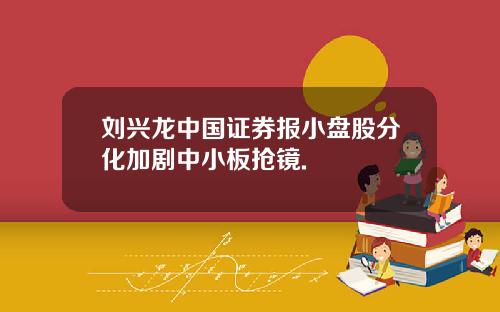 刘兴龙中国证券报小盘股分化加剧中小板抢镜.