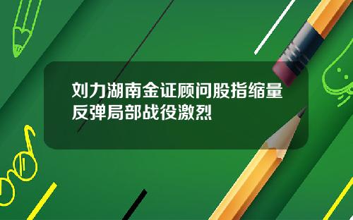 刘力湖南金证顾问股指缩量反弹局部战役激烈