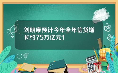 刘明康预计今年全年信贷增长约75万亿元1