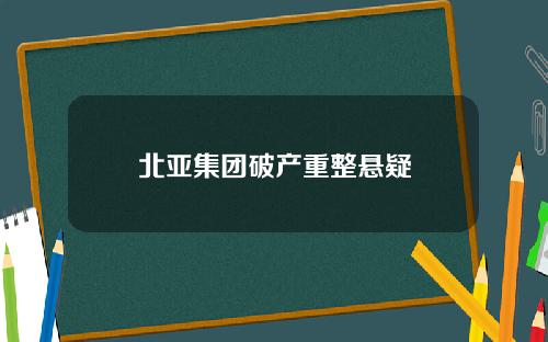 北亚集团破产重整悬疑