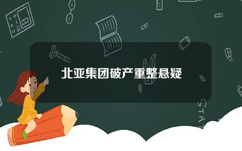 北亚集团破产重整悬疑