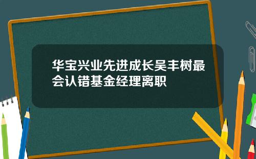 华宝兴业先进成长吴丰树最会认错基金经理离职