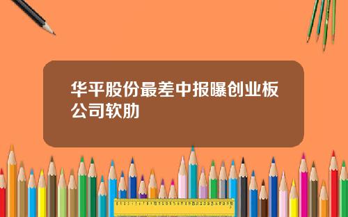 华平股份最差中报曝创业板公司软肋