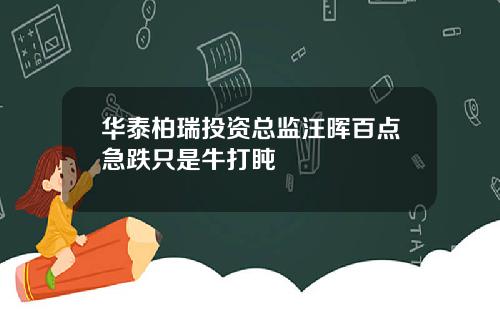 华泰柏瑞投资总监汪晖百点急跌只是牛打盹