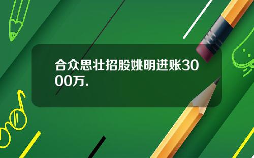 合众思壮招股姚明进账3000万.