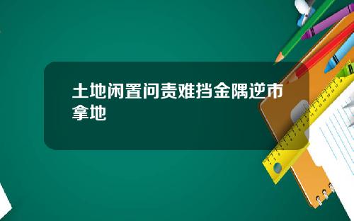 土地闲置问责难挡金隅逆市拿地