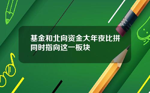 基金和北向资金大年夜比拼同时指向这一板块