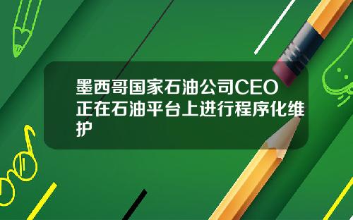 墨西哥国家石油公司CEO正在石油平台上进行程序化维护