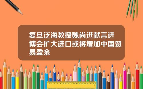 复旦泛海教授魏尚进献言进博会扩大进口或将增加中国贸易盈余