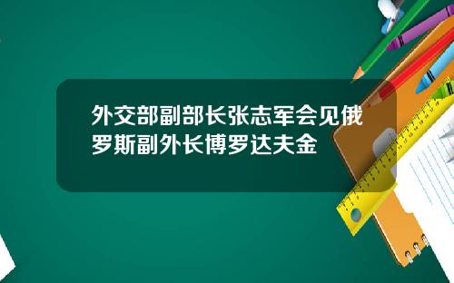 外交部副部长张志军会见俄罗斯副外长博罗达夫金