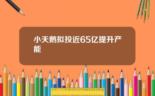 小天鹅拟投近65亿提升产能