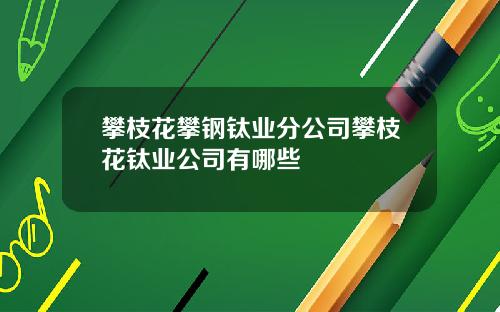 攀枝花攀钢钛业分公司攀枝花钛业公司有哪些