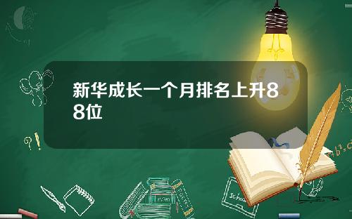 新华成长一个月排名上升88位