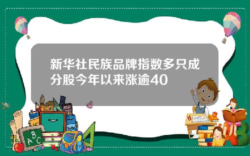 新华社民族品牌指数多只成分股今年以来涨逾40