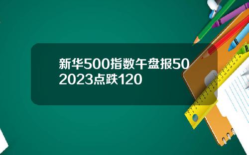 新华500指数午盘报502023点跌120