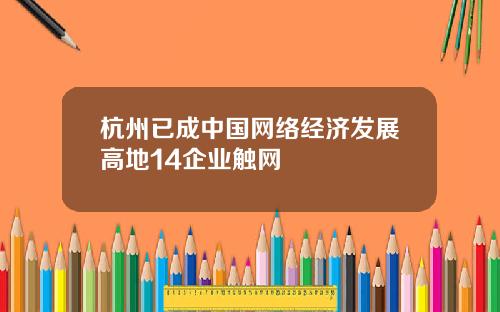 杭州已成中国网络经济发展高地14企业触网