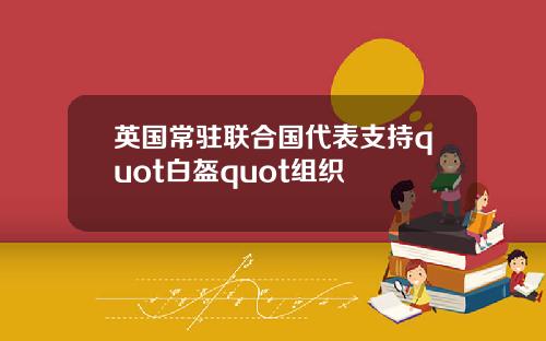 英国常驻联合国代表支持quot白盔quot组织