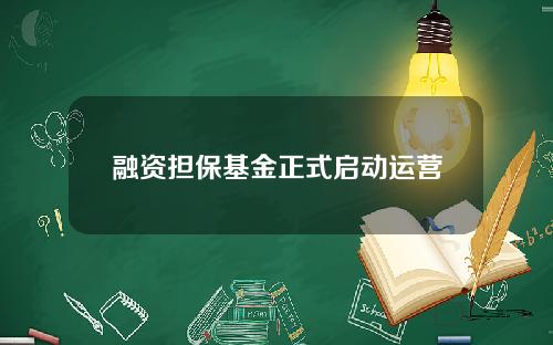 融资担保基金正式启动运营