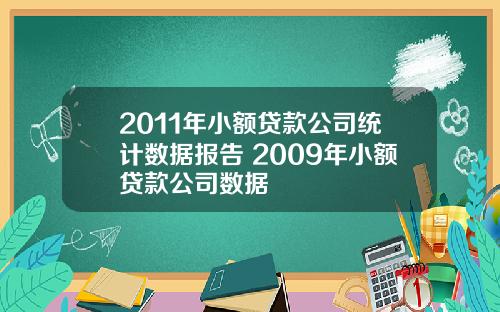 2011年小额贷款公司统计数据报告 2009年小额贷款公司数据