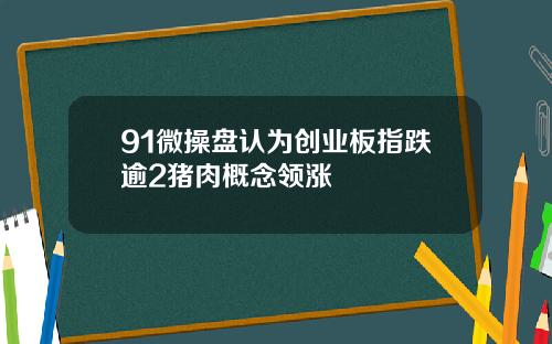 91微操盘认为创业板指跌逾2猪肉概念领涨