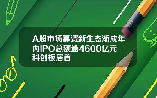 A股市场募资新生态渐成年内IPO总额逾4600亿元科创板居首