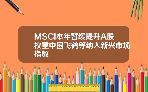 MSCI本年暂缓提升A股权重中国飞鹤等纳入新兴市场指数