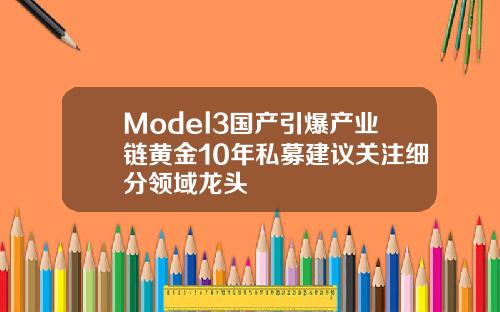 Model3国产引爆产业链黄金10年私募建议关注细分领域龙头