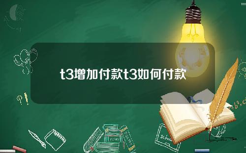 t3增加付款t3如何付款