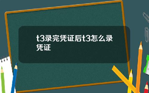 t3录完凭证后t3怎么录凭证