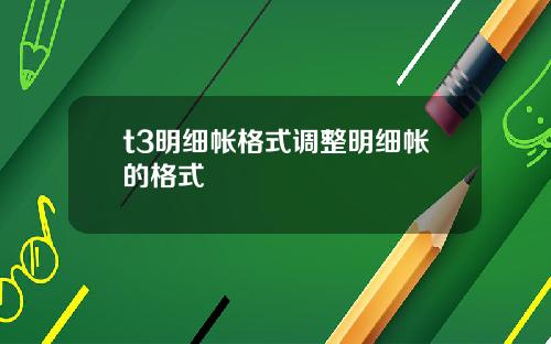 t3明细帐格式调整明细帐的格式