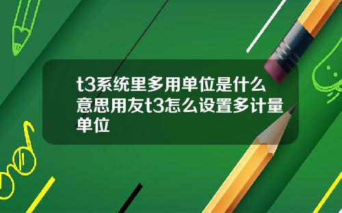 t3系统里多用单位是什么意思用友t3怎么设置多计量单位