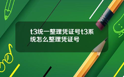 t3统一整理凭证号t3系统怎么整理凭证号