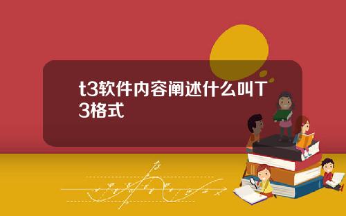 t3软件内容阐述什么叫T3格式