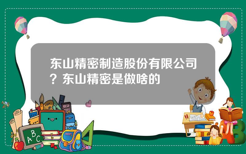 东山精密制造股份有限公司？东山精密是做啥的