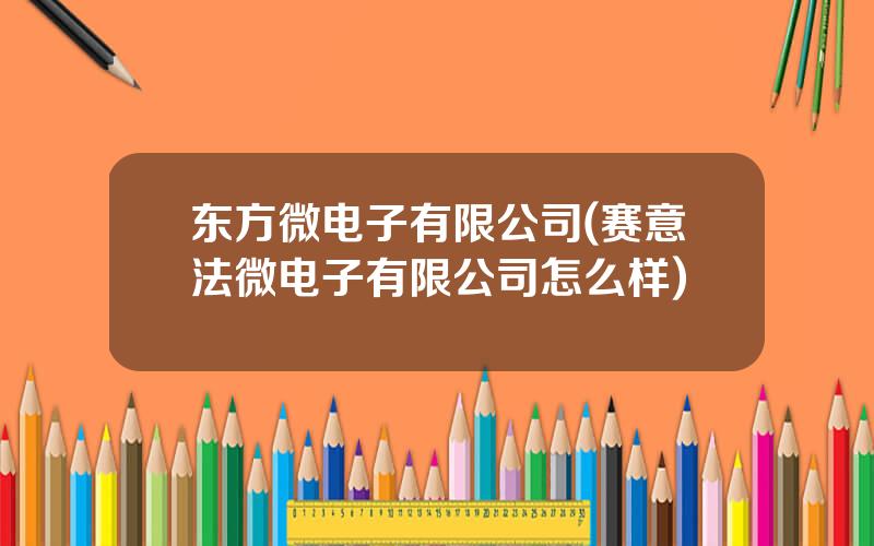 东方微电子有限公司(赛意法微电子有限公司怎么样)